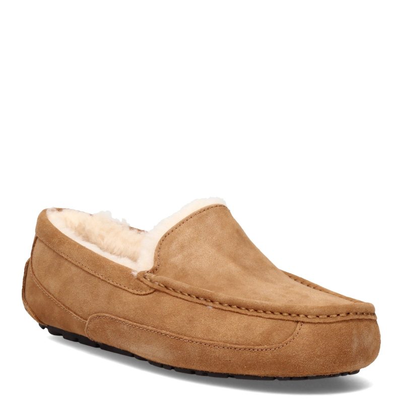 1101110 Che Mens Ugg Ascot Slipper Chestnut