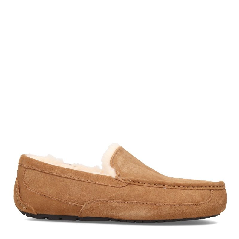 1101110 Che Mens Ugg Ascot Slipper Chestnut 1