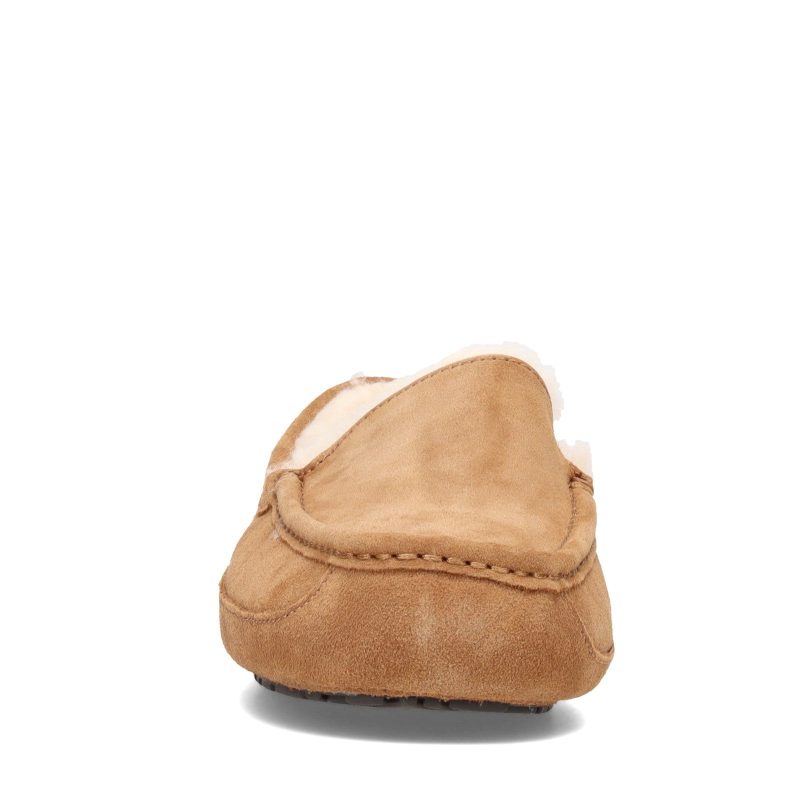 1101110 Che Mens Ugg Ascot Slipper Chestnut 2