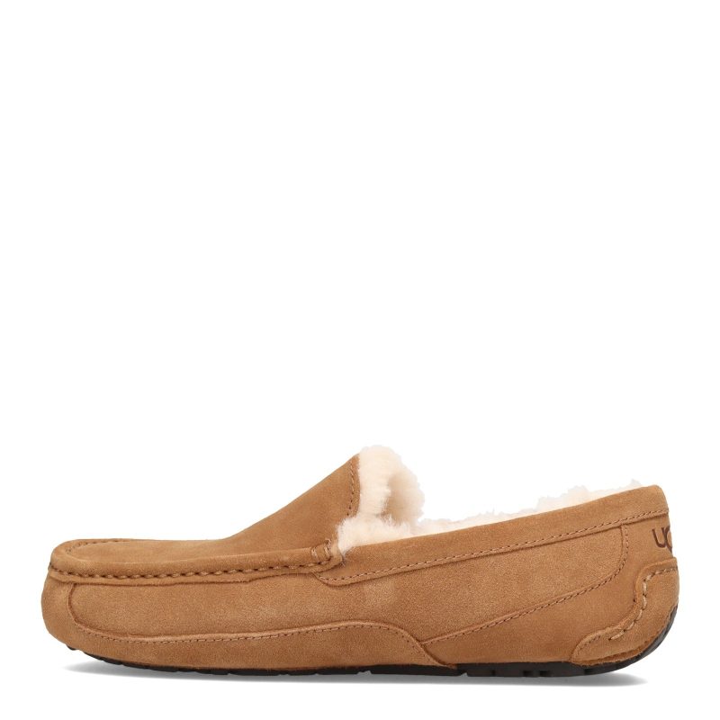 1101110 Che Mens Ugg Ascot Slipper Chestnut 3