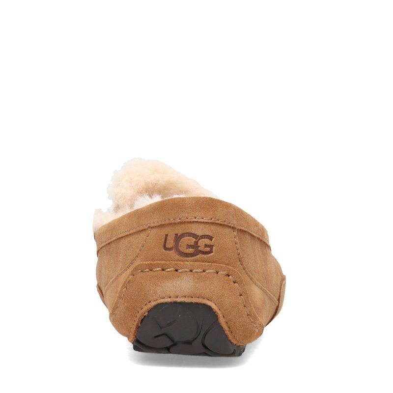 1101110 Che Mens Ugg Ascot Slipper Chestnut 4