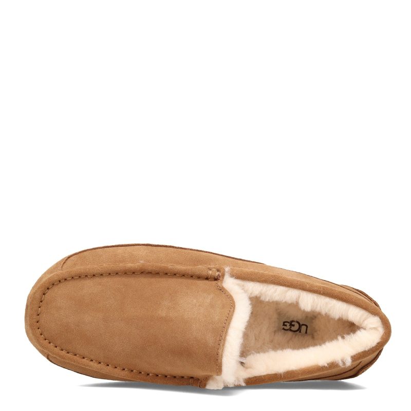 1101110 Che Mens Ugg Ascot Slipper Chestnut 5