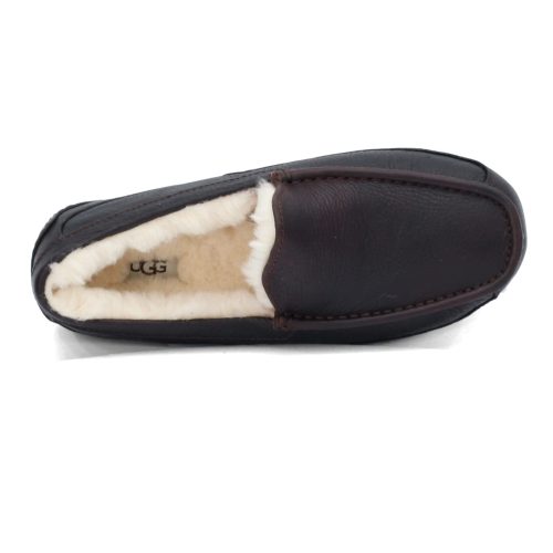 5379 Ctea Mens Ugg Ascot Slipper Brown 5