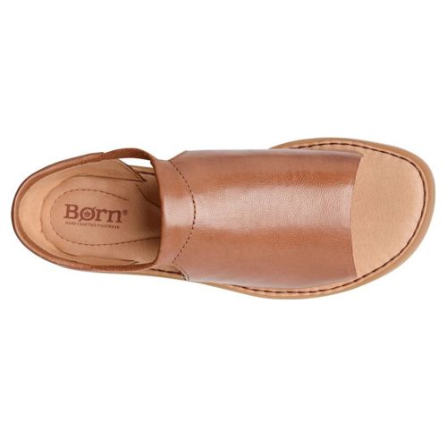 BR0019506 Brown 5