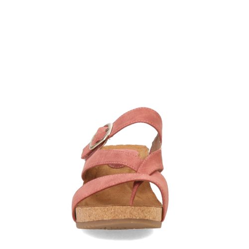 ES0036402 Desert Rose 2