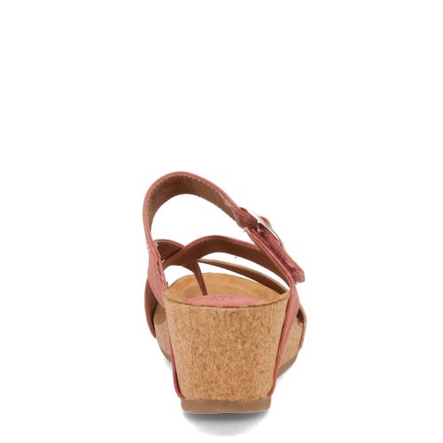 ES0036402 Desert Rose 4