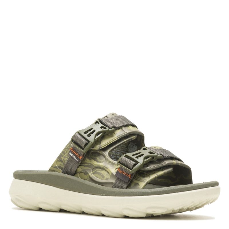 J005227 Olive