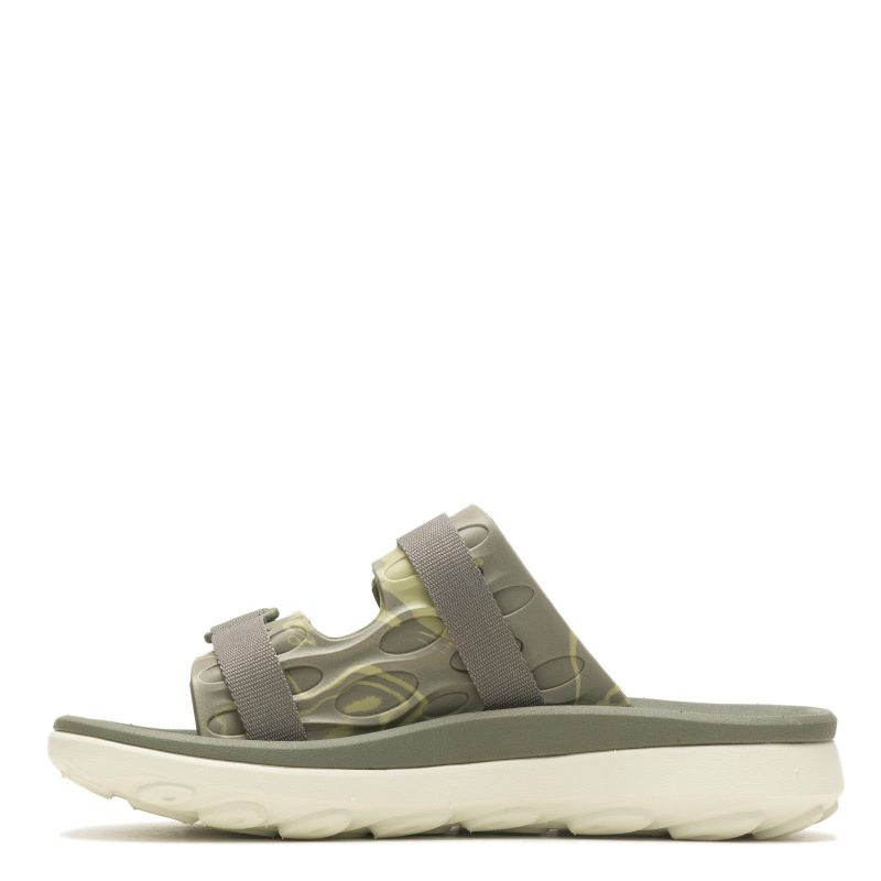 J005227 Olive 2