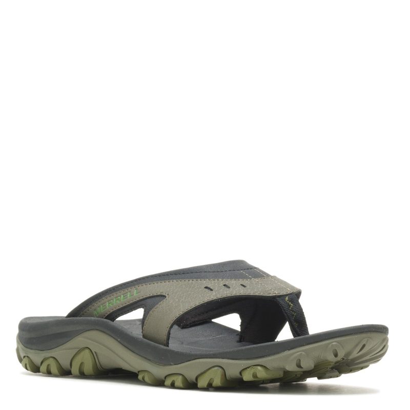 J036881 Olive