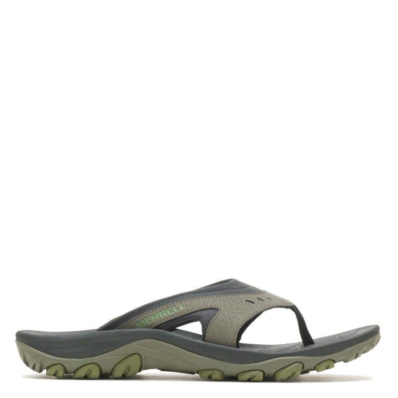 J036881 Olive 1