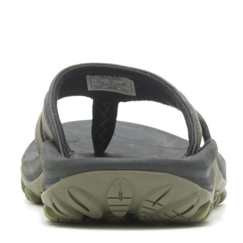 J036881 Olive 3