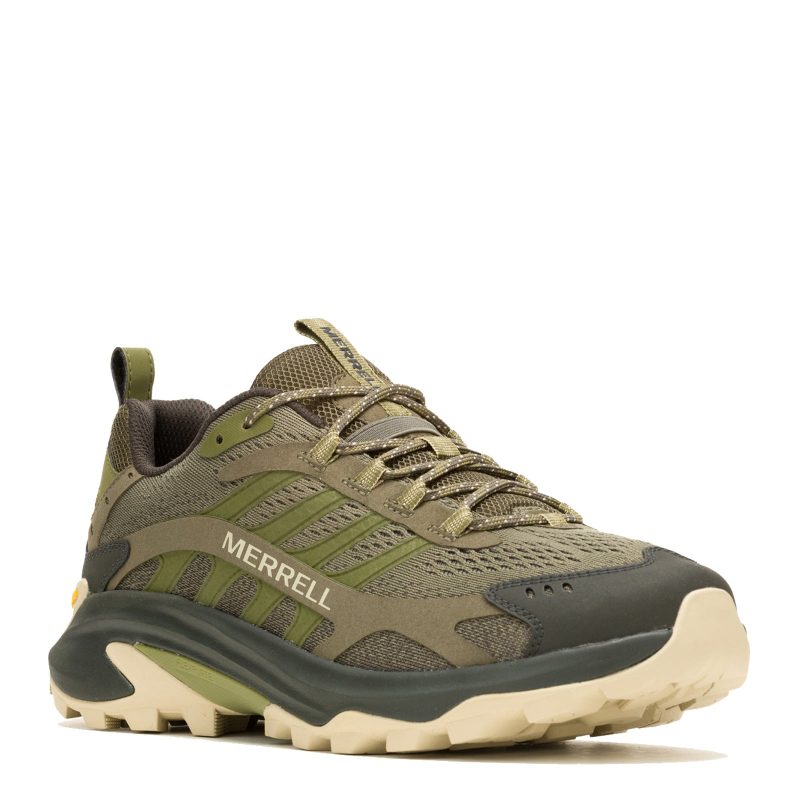 J037527 Olive