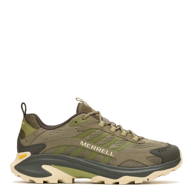 J037527 Olive 1