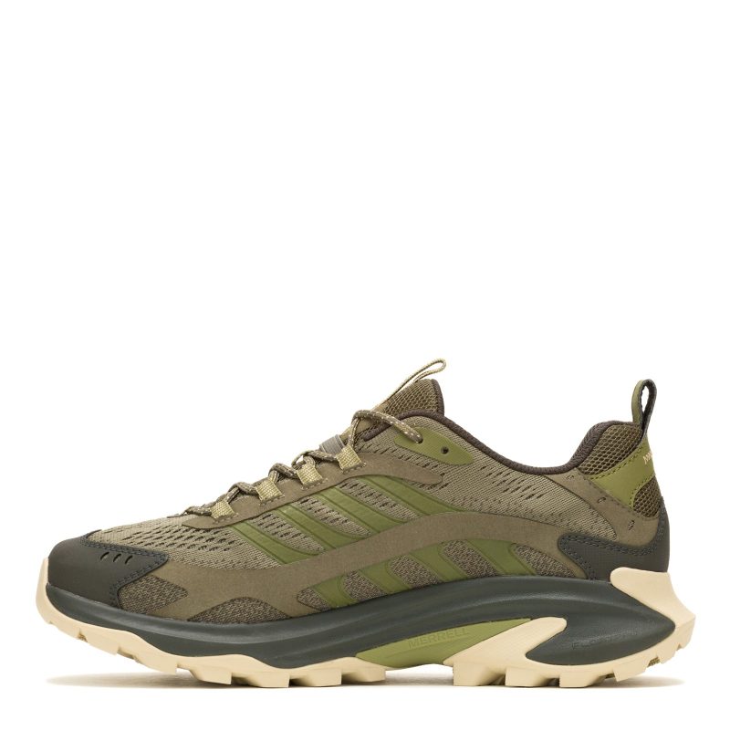 J037527 Olive 2