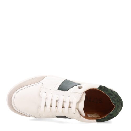 STELLAR WHITE Womens Strive Stellar Sneaker White Jade 5