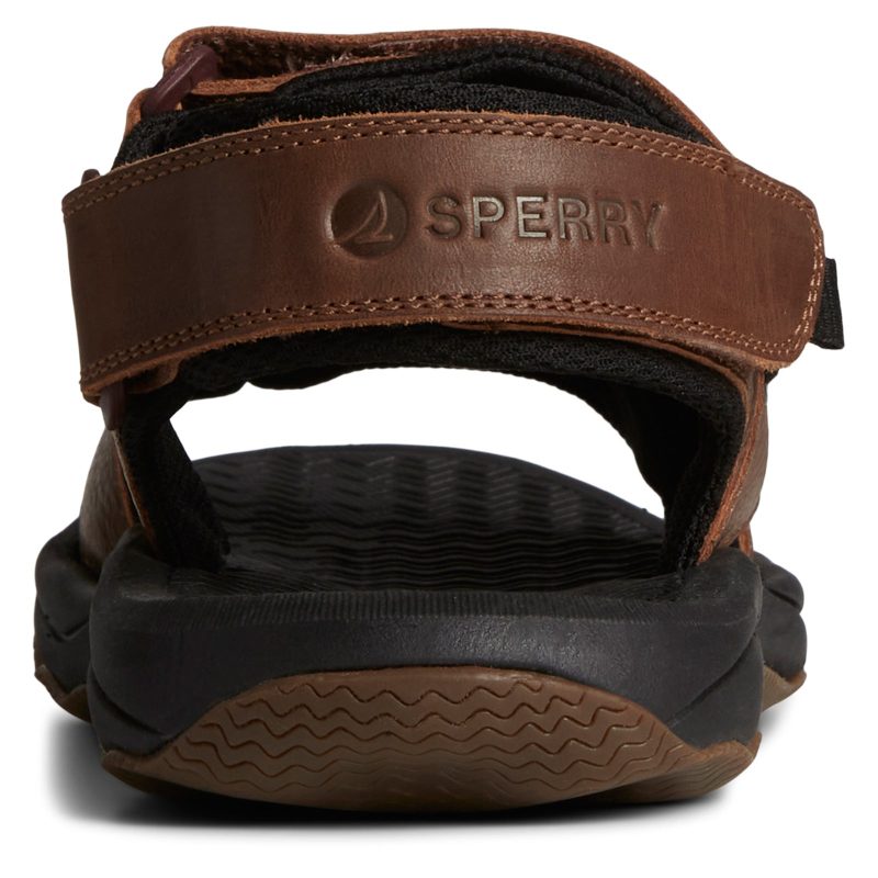 STS25115 Brown 3