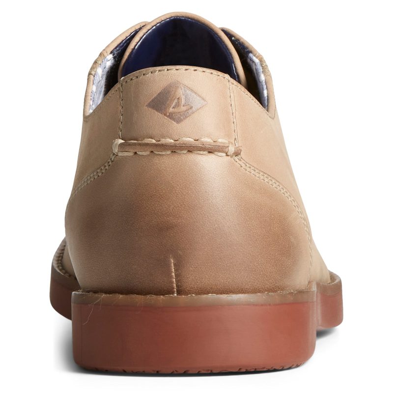 STS25470 Mens Sperry Newman Oxford Taupe 3 0e259491 a20f 425d b2fa fa1c56d95c4c