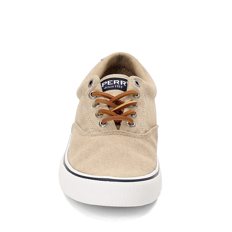 https 3a 2f 2fimages.peltzshoes.com 2fSts22960 Mens Sperry Striper Ii Cvo Sneaker Chambray Chocolatet 2