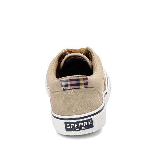 https 3a 2f 2fimages.peltzshoes.com 2fSts22960 Mens Sperry Striper Ii Cvo Sneaker Chambray Chocolatet 4