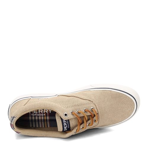 https 3a 2f 2fimages.peltzshoes.com 2fSts22960 Mens Sperry Striper Ii Cvo Sneaker Chambray Chocolatet 5